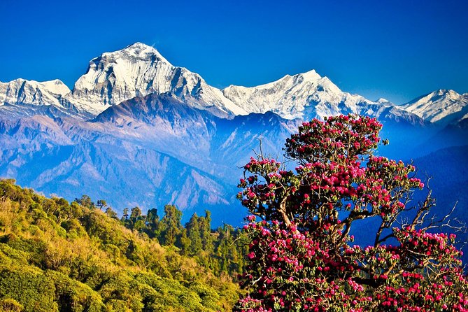 Kathmandu Pokhara Tour 5 Nights 6 Days gallery image 6