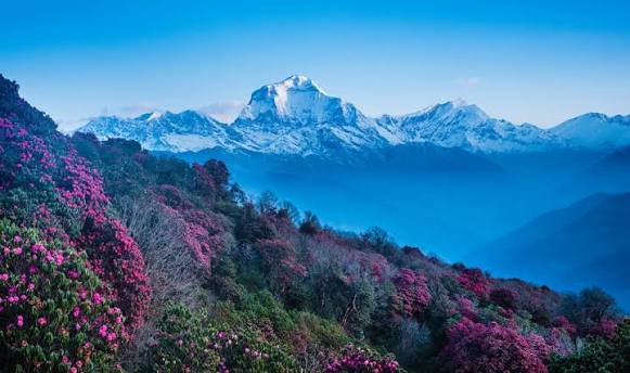Ghandruk Ghorepani Trek - Poonhill Trek 2026, Nepal Tour