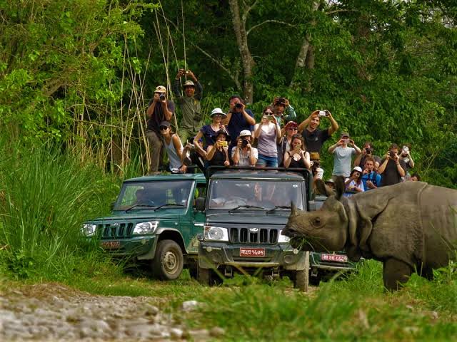 Jungle Safari in Nepal in Experiences